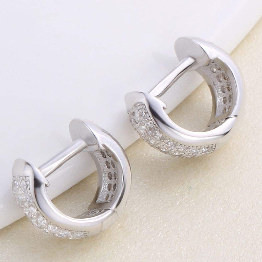 Ohrringe Hoops Bolzen 925 Sterling Silber Hoop Ohrringe für Frauen Schmuck Luxus Zirkonia Ohrpiercing Circle Hoops hohl Ohr -Modezubehör