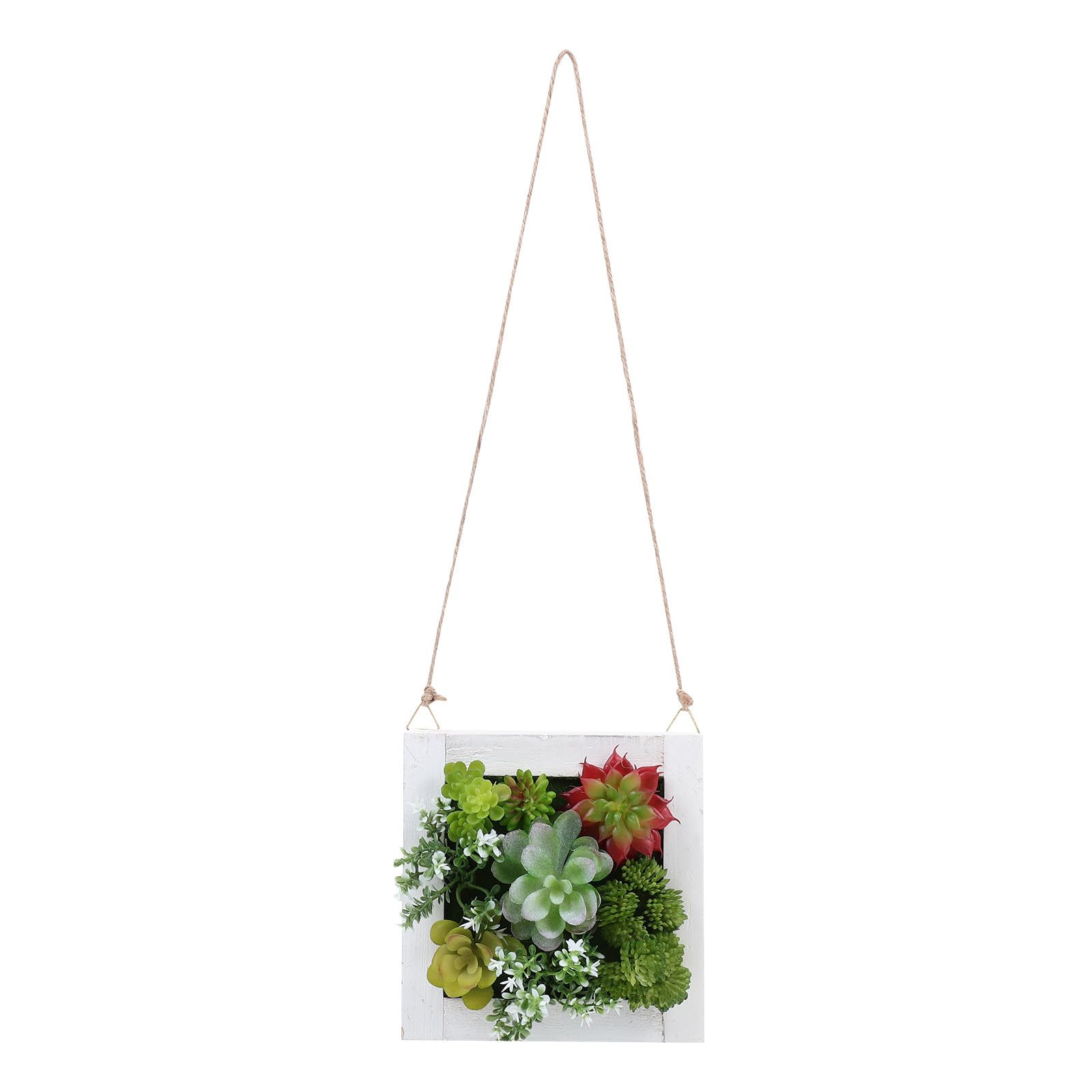 Décoration murale plante artificielle succulente VILLCASE cadre bois