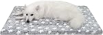 Lit de lit pour petits chiens, 24x16 Tapis en peluche courte de pouce, pad en Kennel mince de 1,6 po, lavable en machine idéal pour 24-Inch Crates de chiens