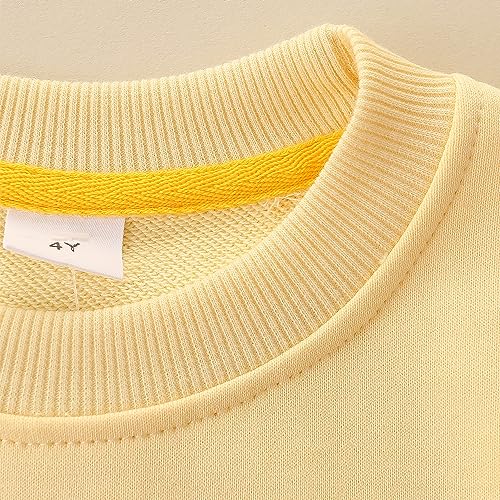Bumeex Toddler Girl Sweatshirt Clothes Outfit,Cotton Crewneck Christmas Clothing4