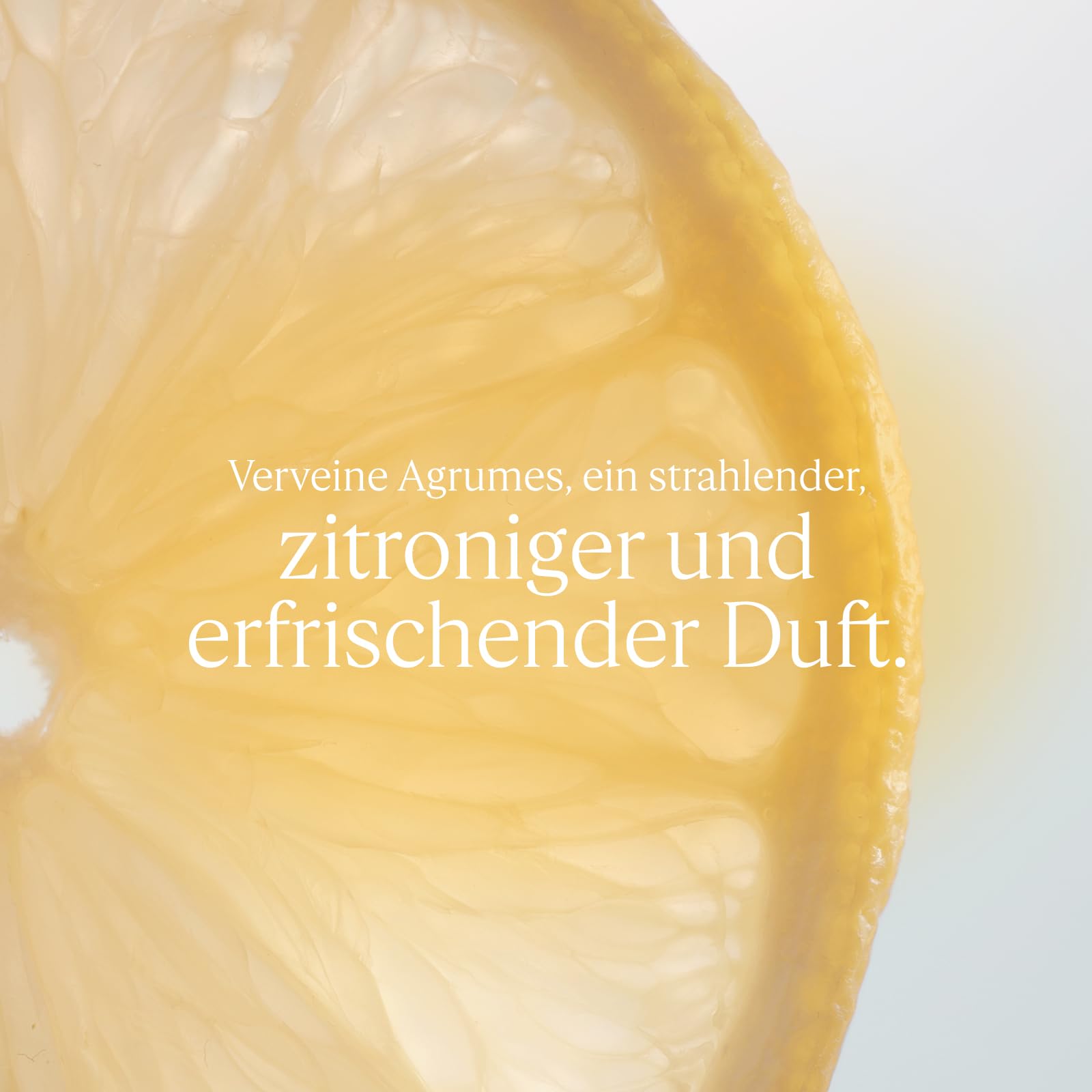L'OCCITANE - Eau de Toilette Eisenkraut Zitrusfrüchte - 100 ml - In Frankreich hergestellt