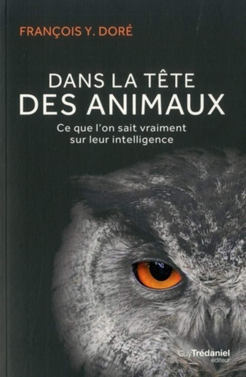Dans la tête des animaux: Ce que l'on sait vraiment sur leur intelligence