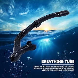 Dilwe Tubo de Respiración de Buceo de Natación de Silicona con Válvula de Purga de un Sentido para Respiración de Aire Seco