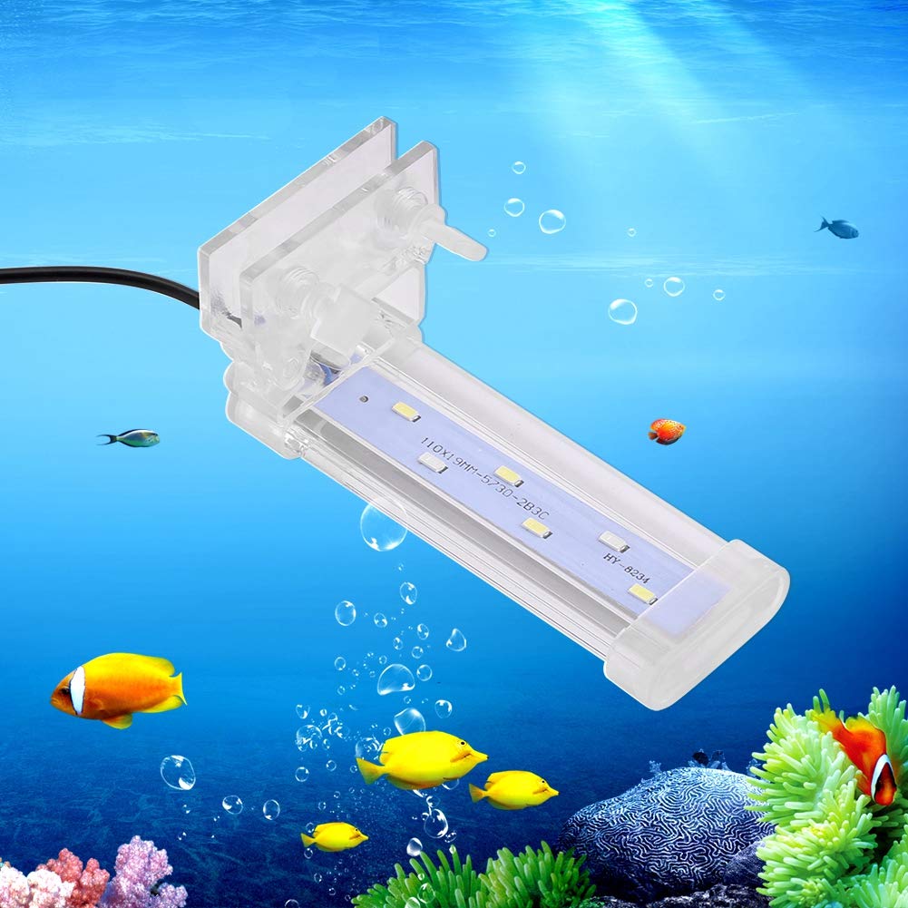 Juwel aquariumlamp LED Day online kopen Juwel aquariumlamp LED Day online kopen