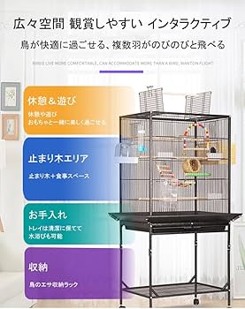 文鳥出品 354107086.jpg?1518043828