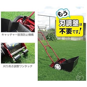 Amazon.co.jp: キンボシ ハッピーバーディーモアーDXネクスト