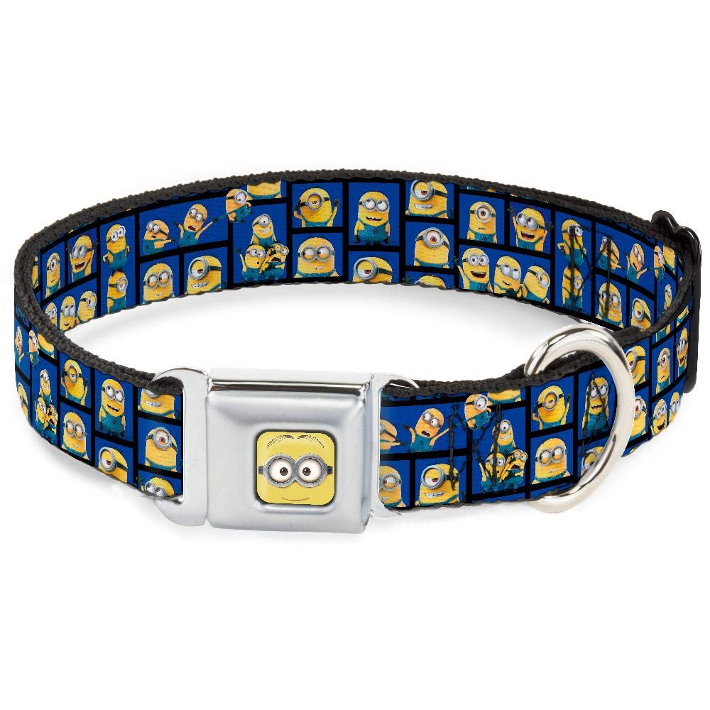 Collier de chien Minion Dave Buckle Down large et robuste pour grand chien