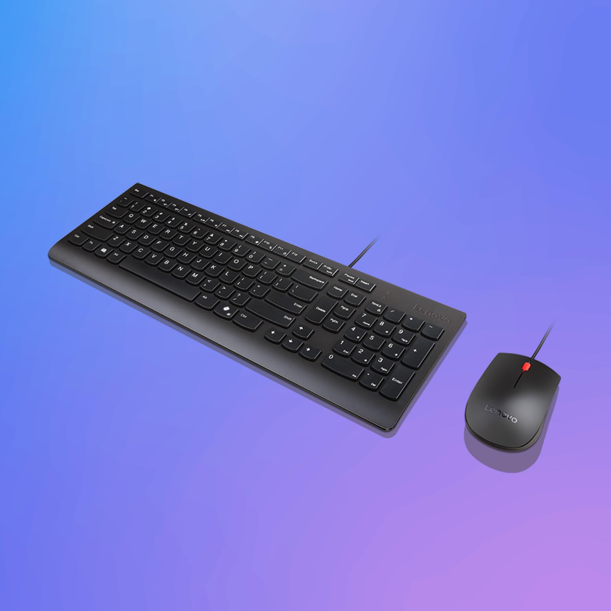 Lenovo Combo Teclado + ratón con Cable Essential – USB, diseño Compacto con Teclado, ratón ergonómico 1600 dpi, diseño antisalpicaduras, botón Copilot – Negro