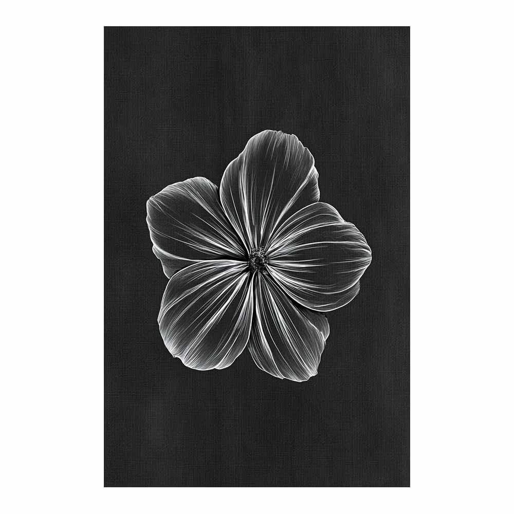 HOQIU Grey Wall Art Monochrome Flower Drawing prints for walls, canvas wall art, for Living Room Bedroom Bathroom Home Office Wall Decoration(Multicolor)-80x120cm Unframed