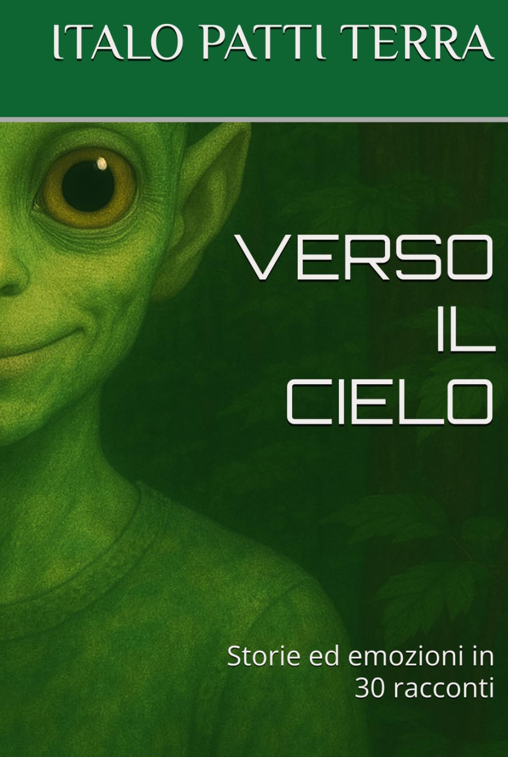 VERSO IL CIELO: Storie ed emozioni in 30 racconti