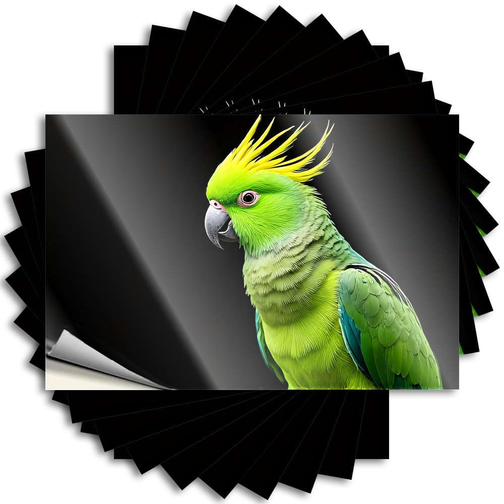 Tattoo Cool Back Porch Decor Waterproof - A Vibrant Green Parrot with A Yellow Crest Window Self Adhesive Decal for Coffee Use(12X18CM)