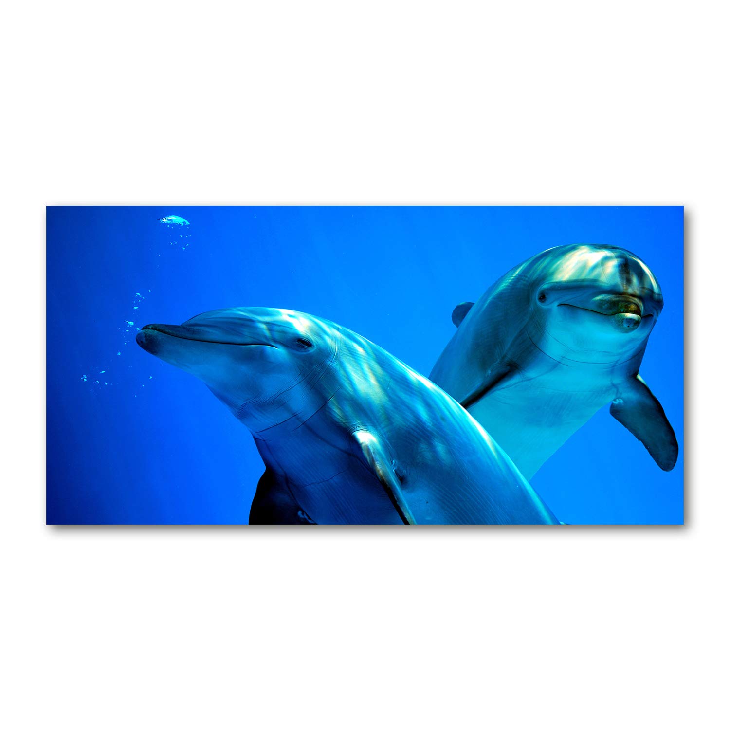 Image sur verre acrylique Tulup 140x70cm pour déco murale moderne avec motif animaux