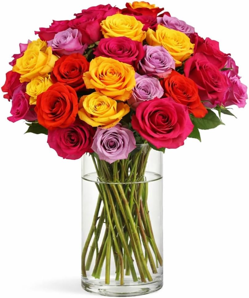 BloomsyBox MultiColored Real Roses Bouquet - Two Dozen Rainbow Roses, 25 Long Stems, Long Lasting & Hand-Tied Flower Arrangement, Farm Fresh Flowers Bouquet, Live Floral Arrangement for Gift | No Vase