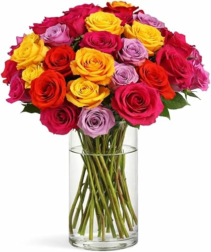 BloomsyBox Ramo de rosas reales multicolores: dos docenas de rosas arcoíris, 25 tallos largos, arreglo floral de larga duración y atado a mano, ramo