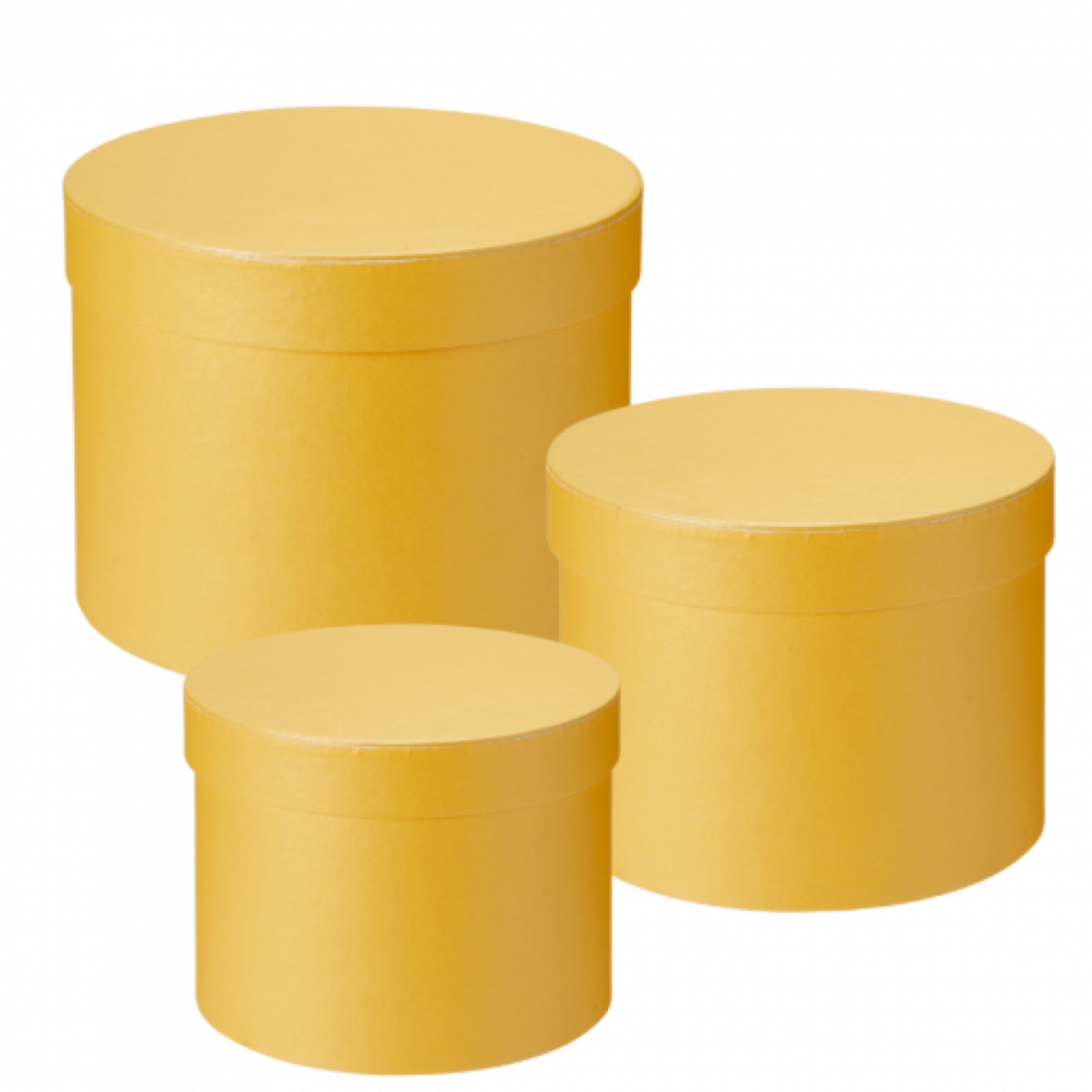 Oasis Paper Gift Box Empty, Decorative, Reusable, Multipurpose Birthday, Anniversary, Wedding, Return Gifts Hamper Packaging (Set of 3) Round Macaroon Yellow (B0BQMS1S8M) Amazon Price History, Amazon Price Tracker
