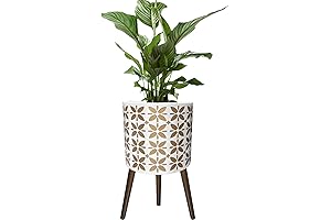 12 Inch Tall Plant Pot with Gold Stand