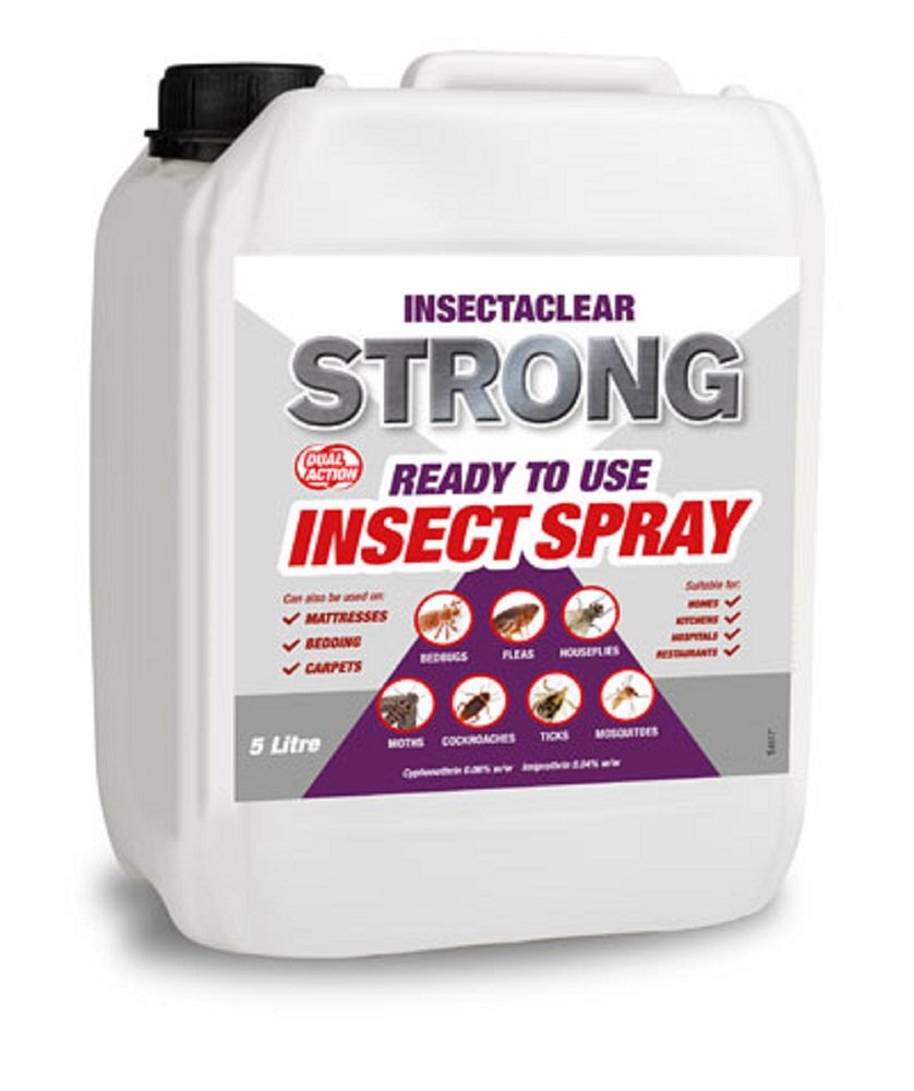 Insectaclear Strong Bed Bug Killer - 5L