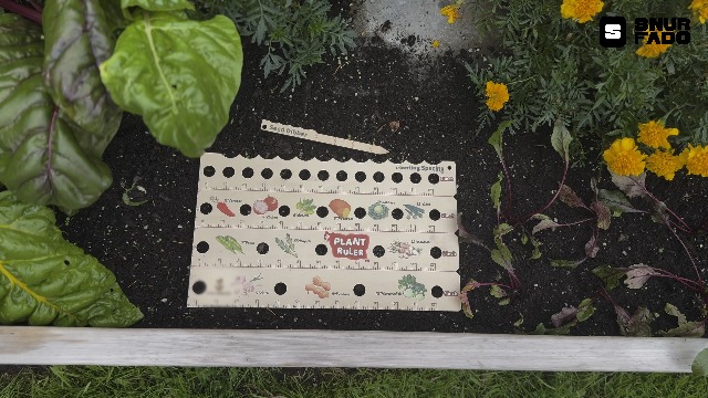 Regla para Plantas Snurfado Medidor de Semillas miniatura 7