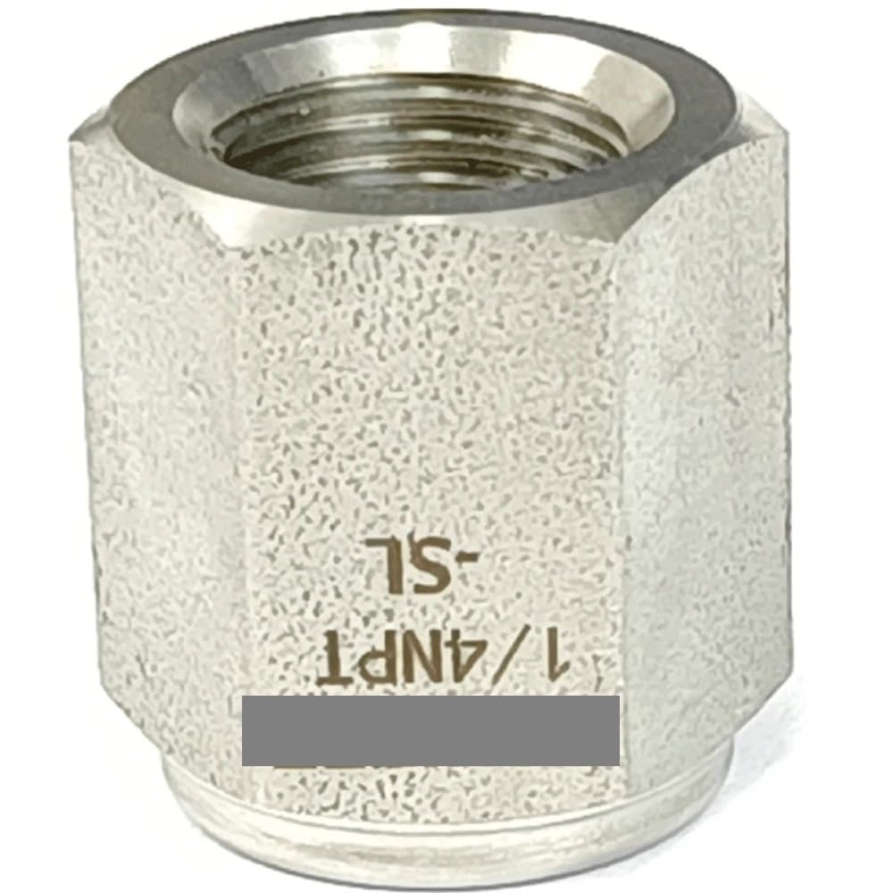 PAKMEZ 1PC 1/4" NPT Female End Cap Hex SUS316 Stainless Steel Pipe Fitting