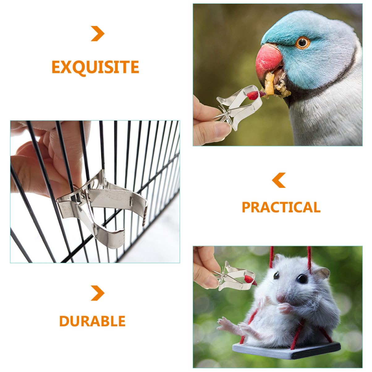 POPETPOP 18pezzi Supporto Alimentare Per Uccelli Acciaio Inossidabile Da Clip Per Frutta e Verdura Accessori Per Pappagalli e Piccoli Animali Sicuro e Pratico Per Alimentazione e Gioco