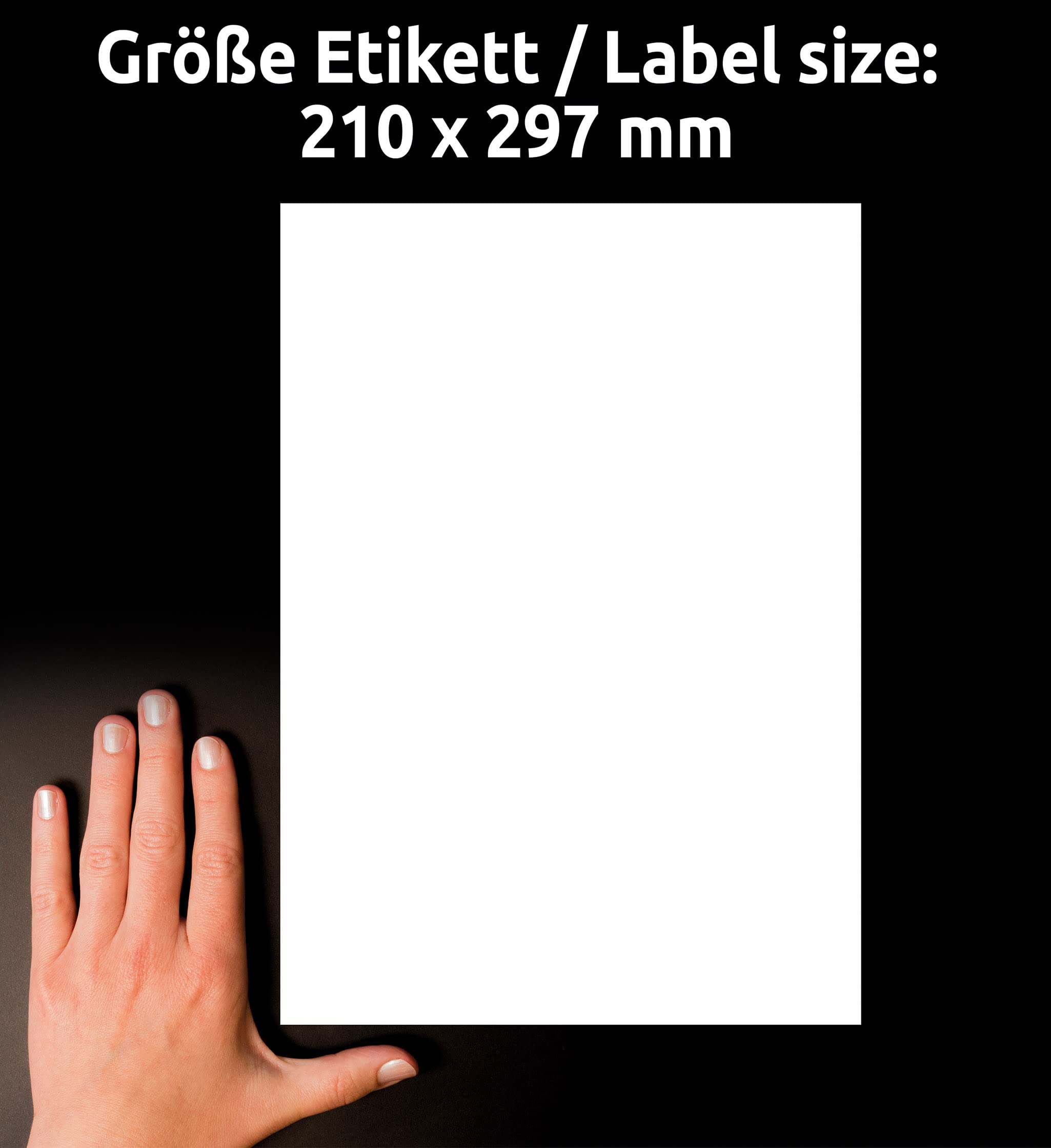 Avery Zweckform J8567-25 - Etichette per spedizioni, 210 x 297 mm, confezione da 25, colore: Trasparente