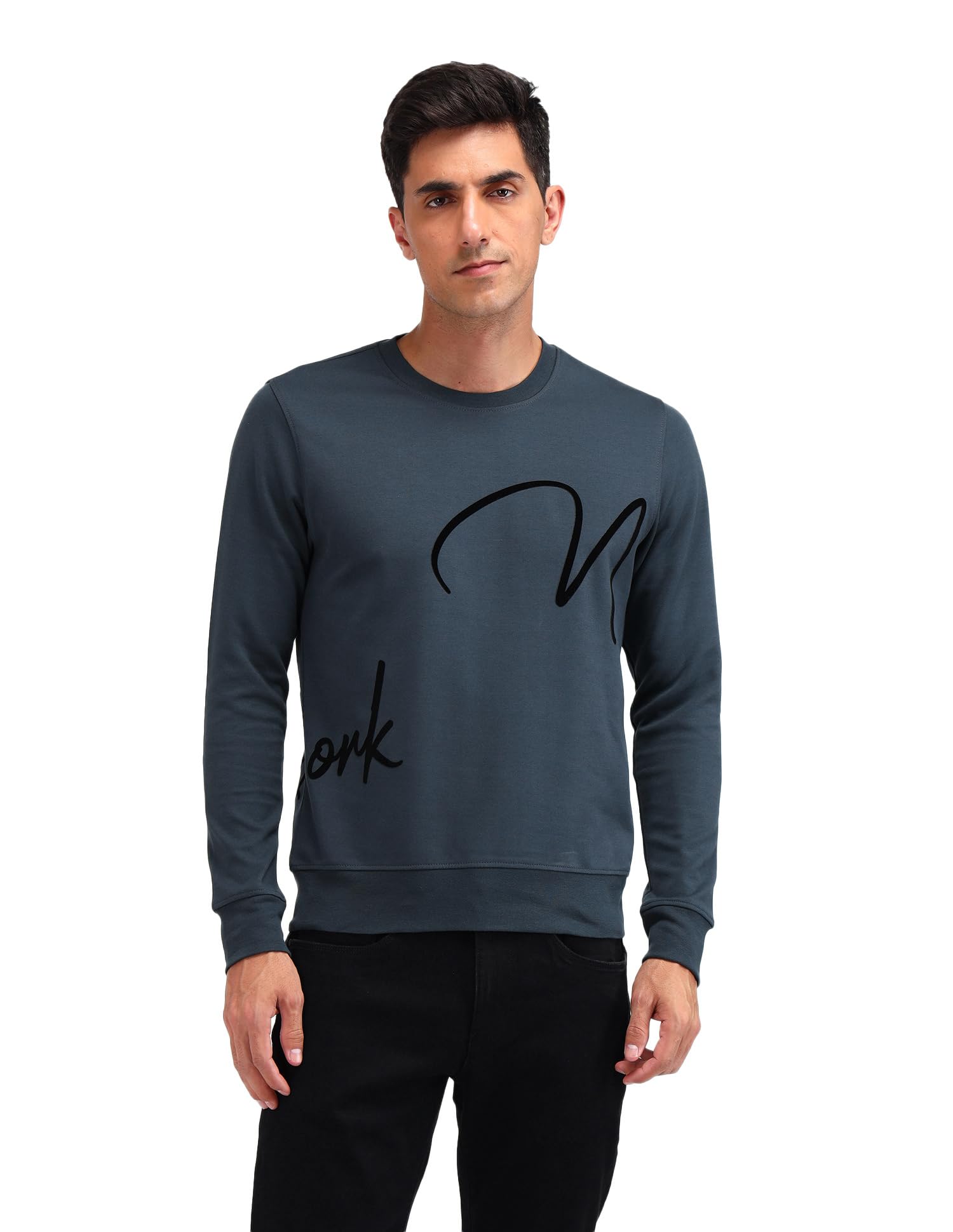 arrow New York Men's Grey Letter Print Crew Neck Long Sleeve Casual Cotton Regular Fit Sweatshirt-picture-52