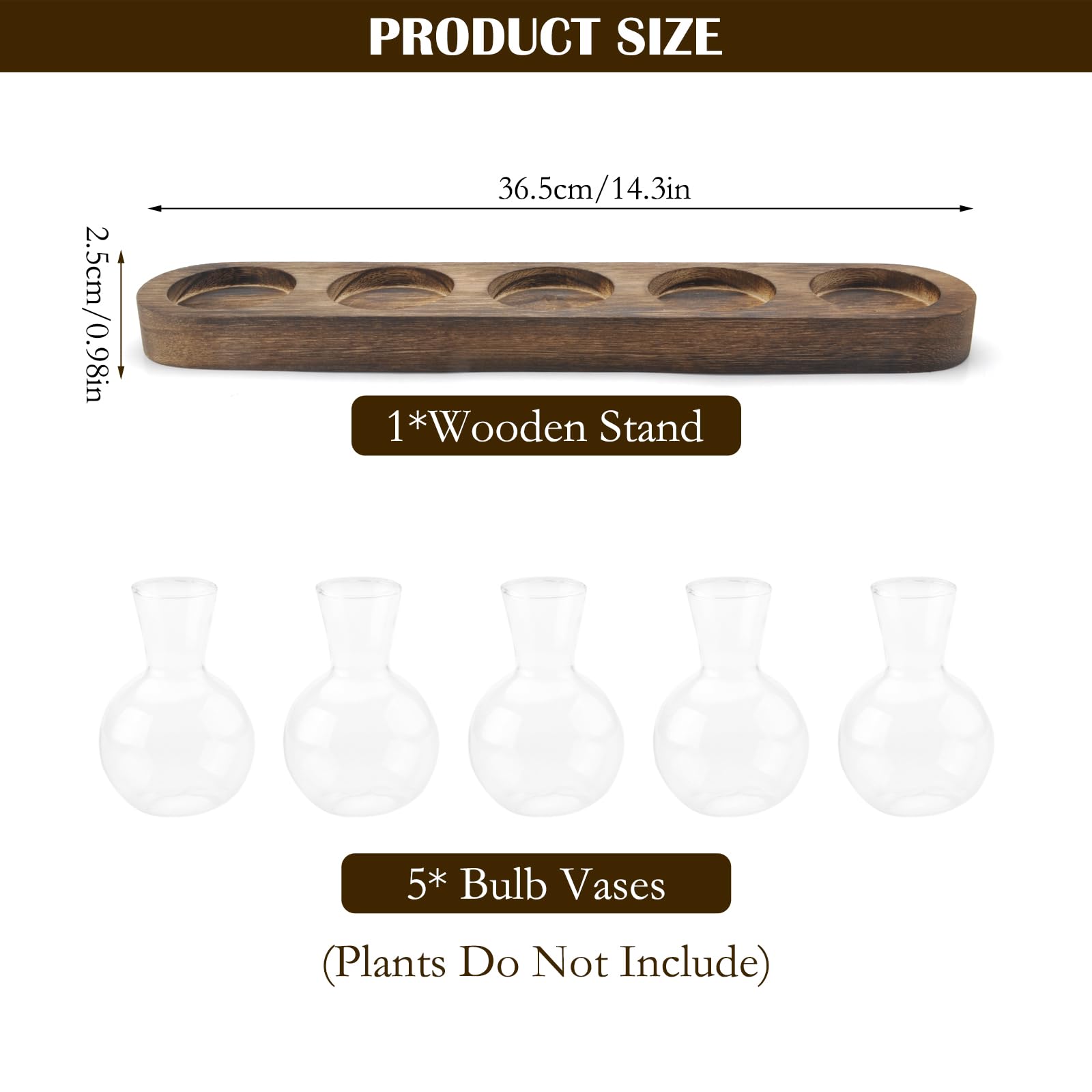 Stations de Propagation de Plantes avec Support en Bois, Lot de 5 Pots de Fleurs en Verre, Terrarium en Verre pour Plantes hydroponiques, Cadeau de Maman pour la Maison et Le Bureau