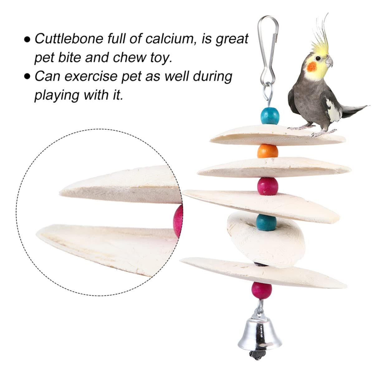 Didiseaon 6 Pcs Perroquet Os De Seiche Jouets De Dentition Os pour Escargots Perruche Os De Seiche Os De Câlin pour Oiseaux Os De Seiche pour Oiseaux Os De Seiche pour Perruches