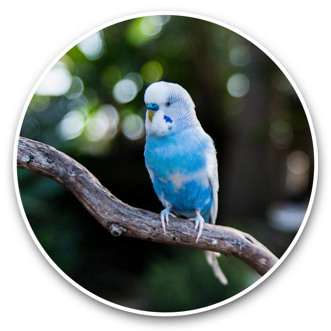 Destination Vinyl Ltd Blue Parakeet Parrot Bird 44380 Awesome Vinyl Stickers (Set Of 2) 7.5Cm - Blue Parakeet Parrot Bird Fun Decals For Laptops,Tablets,Luggage,Scrap Booking,Fridges #44380