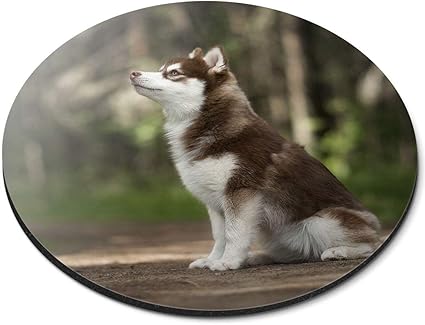 Amazon ラウンドマウスマット シベリアン ハスキーの子犬犬アラスカンマラミュートオフィスのギフト Rm241 Destination Vinyl Ltd マウスパッド 通販