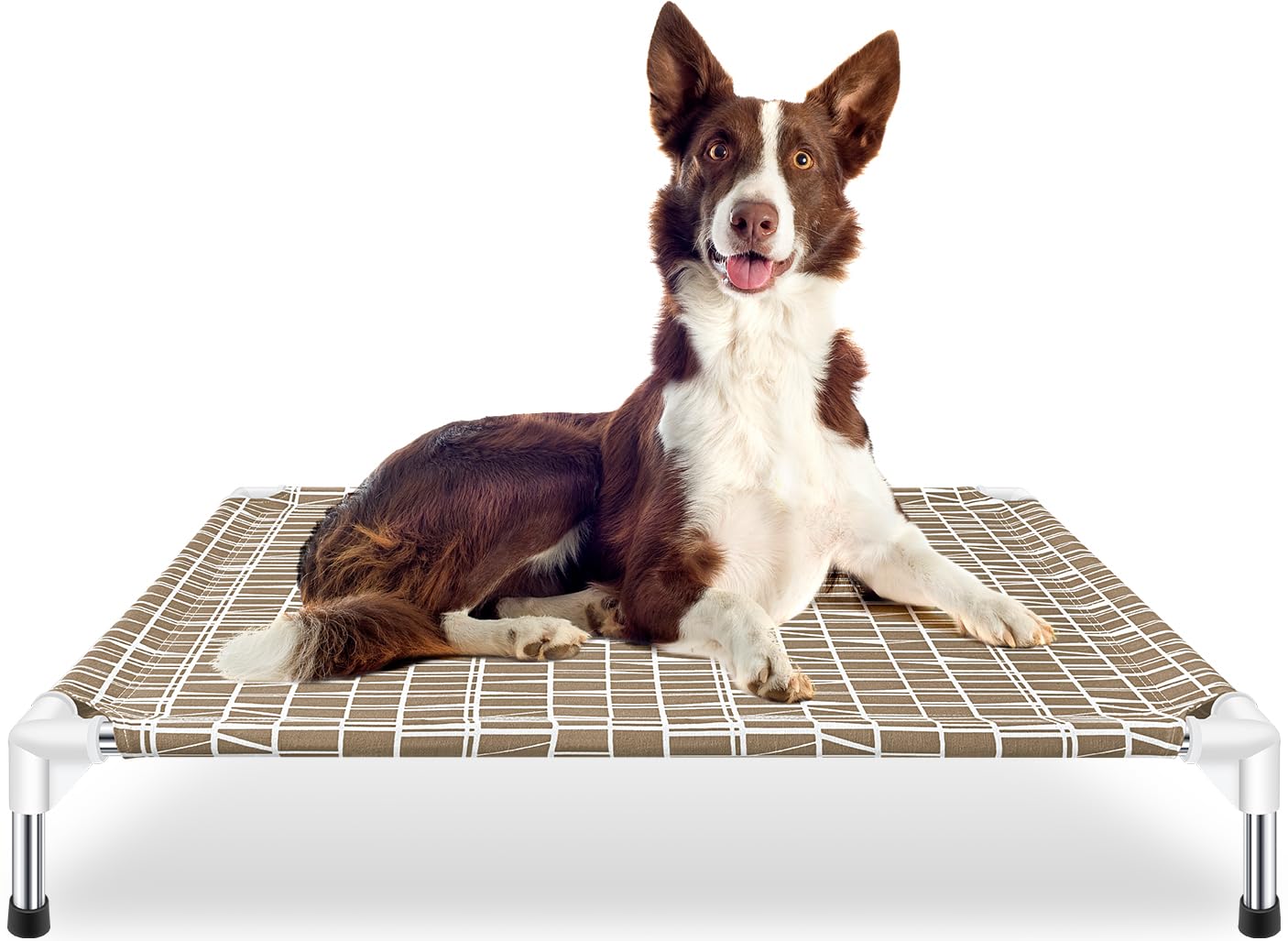 Dopliv Elevated Dog Bed - Raised Pet Cot, Medium Size, Portable Indoor & Outdoor Dog cot Bed, Soft and Comfortable, Pet Bed for Camping or Beach, Medium