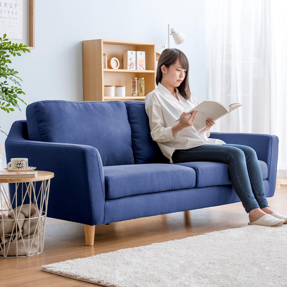 Amazon｜エア・リゾーム ソファー 2人掛け ローソファー 二人掛け