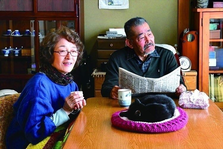 初恋~お父さん、チビがいなくなりました [Blu-ray] Amazon.co.jp: 初恋～お父さん、チビがいなくなりました Blu-ray 【Blu
