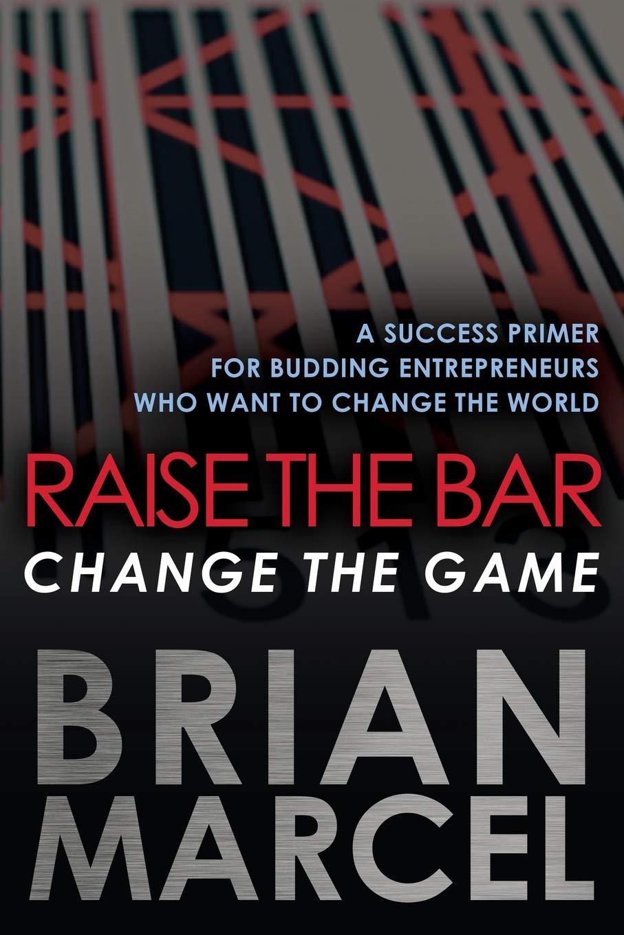 Raise the Bar, Change the Game: A Success Primer for Budding Entrepreneurs Who Want to Change the World