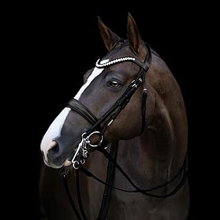 'Athens' Luxury Leather Bridle - (Double) - Buy now