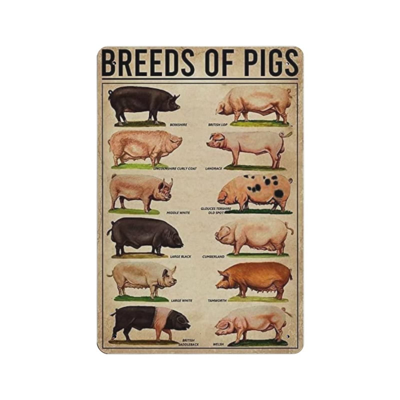 AOOEDM Breeds Of Pigs Farm Vintage Tin Sign Metal Tin Signs for Man Cave Funny Art Wall Plaque Kitchen Bar Pub Coffee Shop Wall Decor