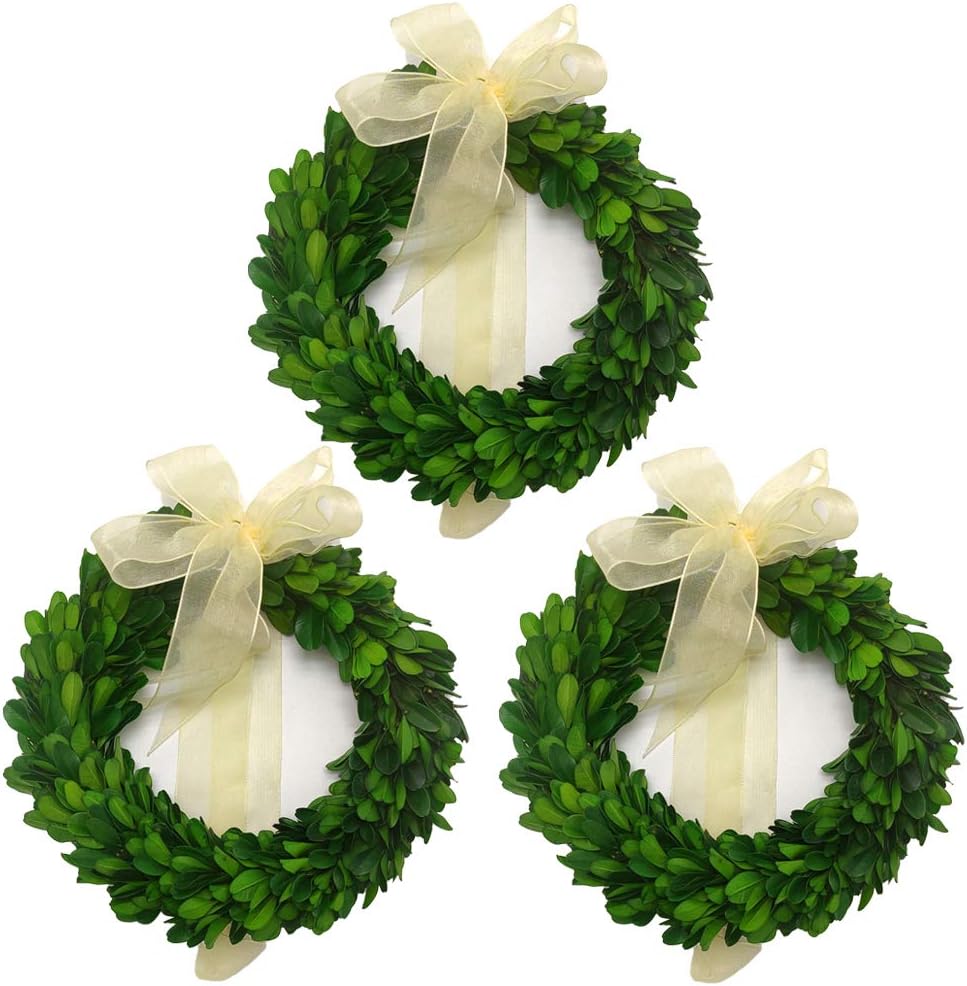LMflorals Preserved Boxwood Wreath Decor 6 inch, Nature Real Handcrafted Boxwood Round Wreath Green Garland for Indoor Farmhouse Decorations Wreath Wall Window Home Décor 3 PCS (6 inch)
