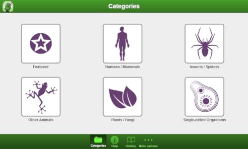 Smart Microscope Lite