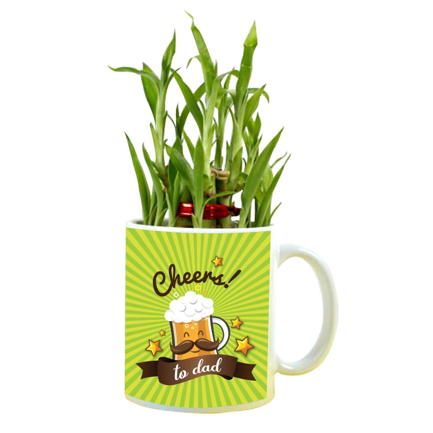 TheYaYaCafe Birthday Gifts Cheers to Dad Lucky Bamboo Planter with Mug Plants - 2 Layer Fathers Day (B08YN8YYPW) Amazon Price History, Amazon Price Tracker