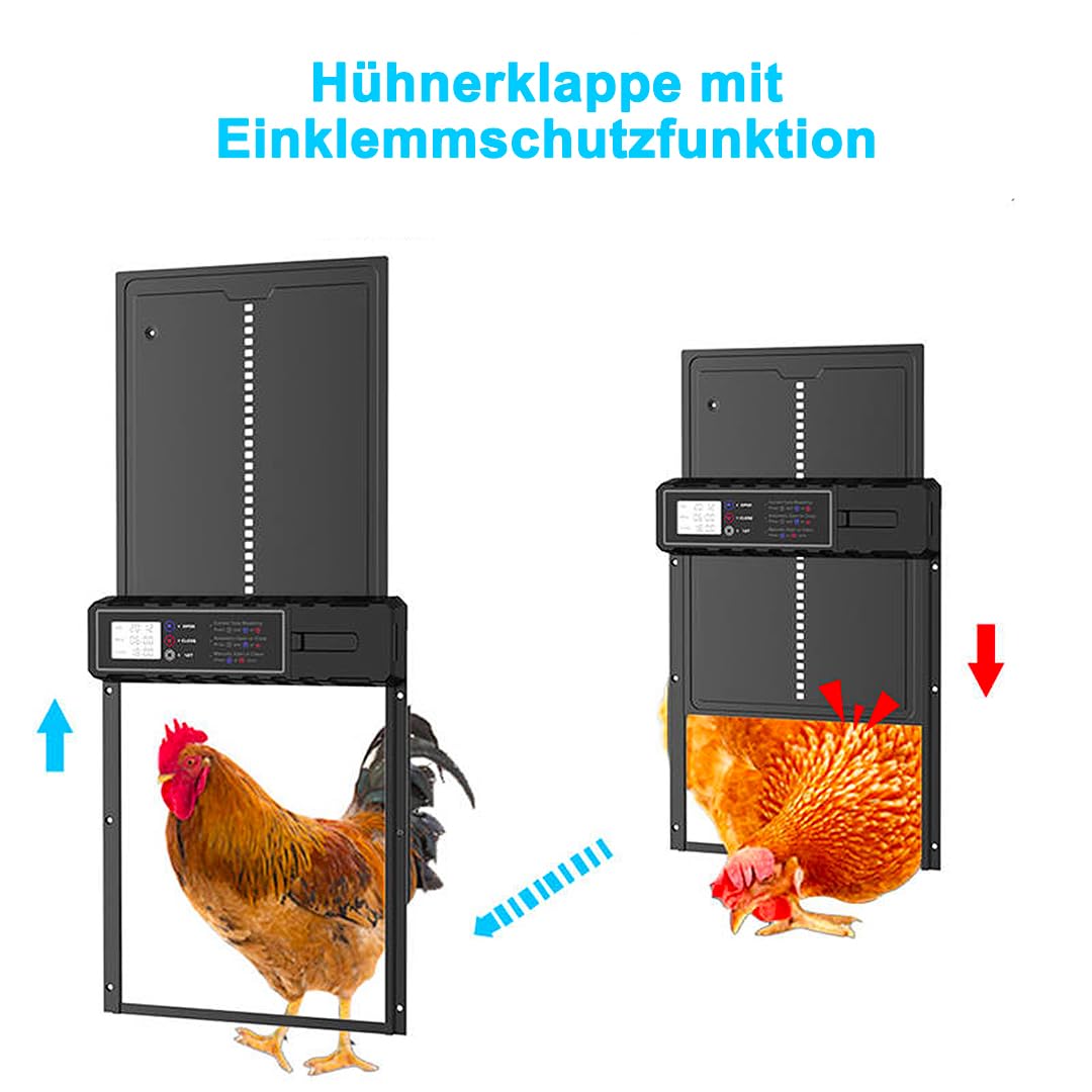 Aka & Lou elektrische Hühnerstalltür mit Zeitschaltuhr und manuell programmierbarem LCD-Bildschirm. Automatische Hühnerklappe mit Batteriebetrieb, groß, robust.