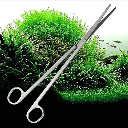 Western Era Aquarium Scaping Tongs Scissor Long Stainless Steel Straight Scissor Tool for Fish Tank, Aquatic Plant Cleaning (B086DVKQDB) Amazon Price History, Amazon Price Tracker