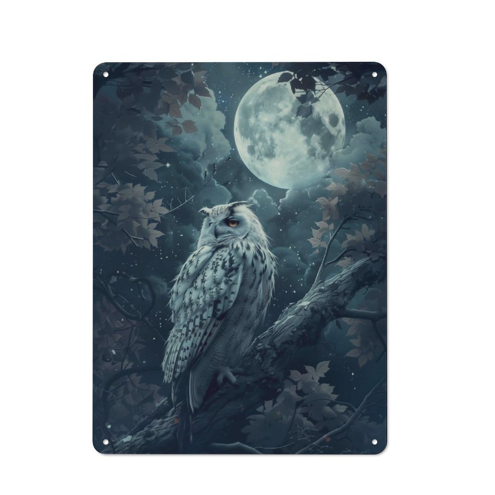 Metal Plaque 40x30cm with Moonlit Owl for Hallway Wall, Retro Decor, for Wall Display Collectors