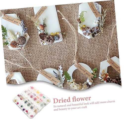 3 cajas flores secas naturales para manualidades miniatura 7