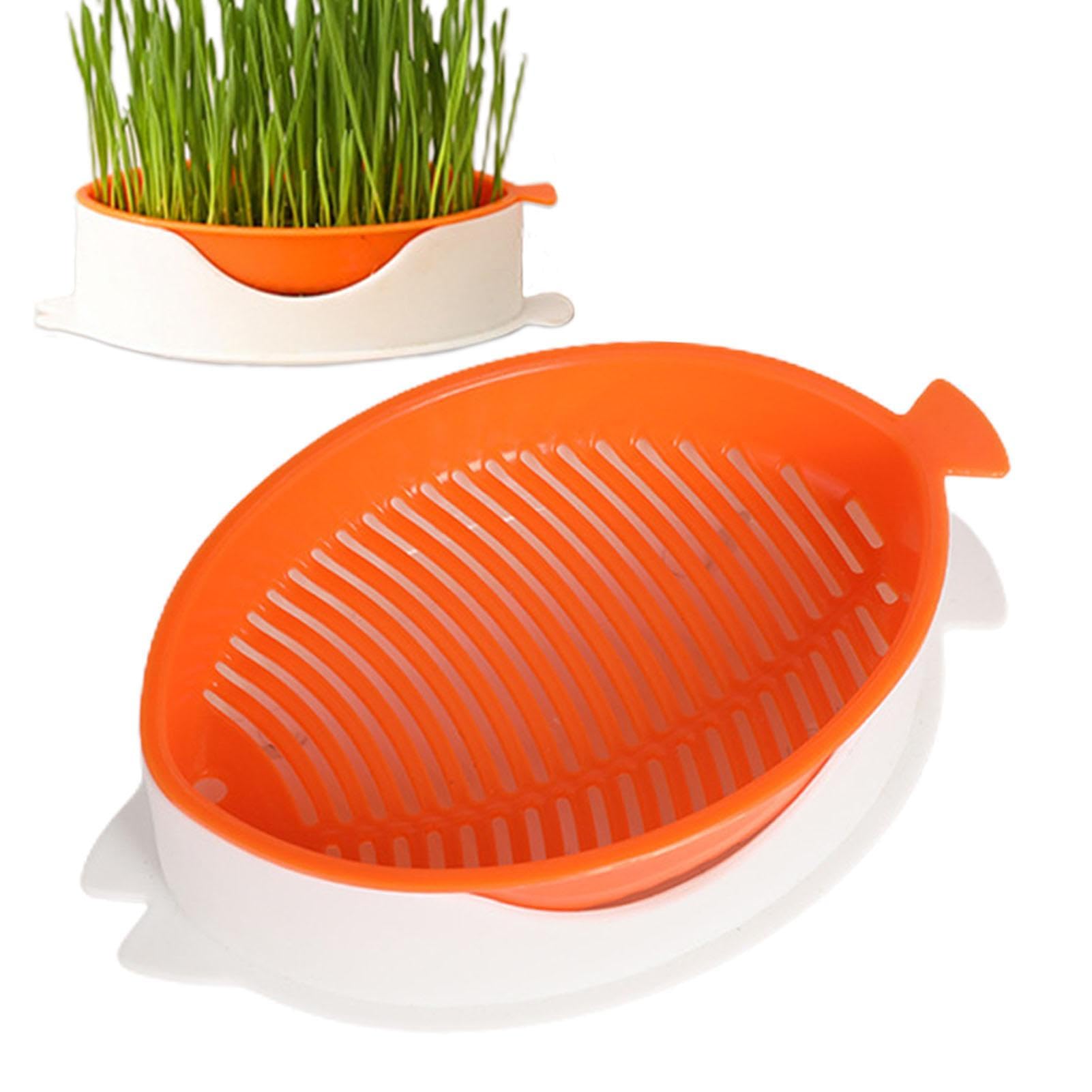 Teksome Orange1 Cat Grass Planter - Hydroponic Cat Grass Growing Kit For Catnip - Soilless Growing Kit For Indoor Outdoor, Fish Shape Planting Box For Pet Shop Home