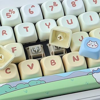 tou ki❤️ Amazon.com: TYRIXKI PBT Keycaps 145 Keys MOA Profile Cute