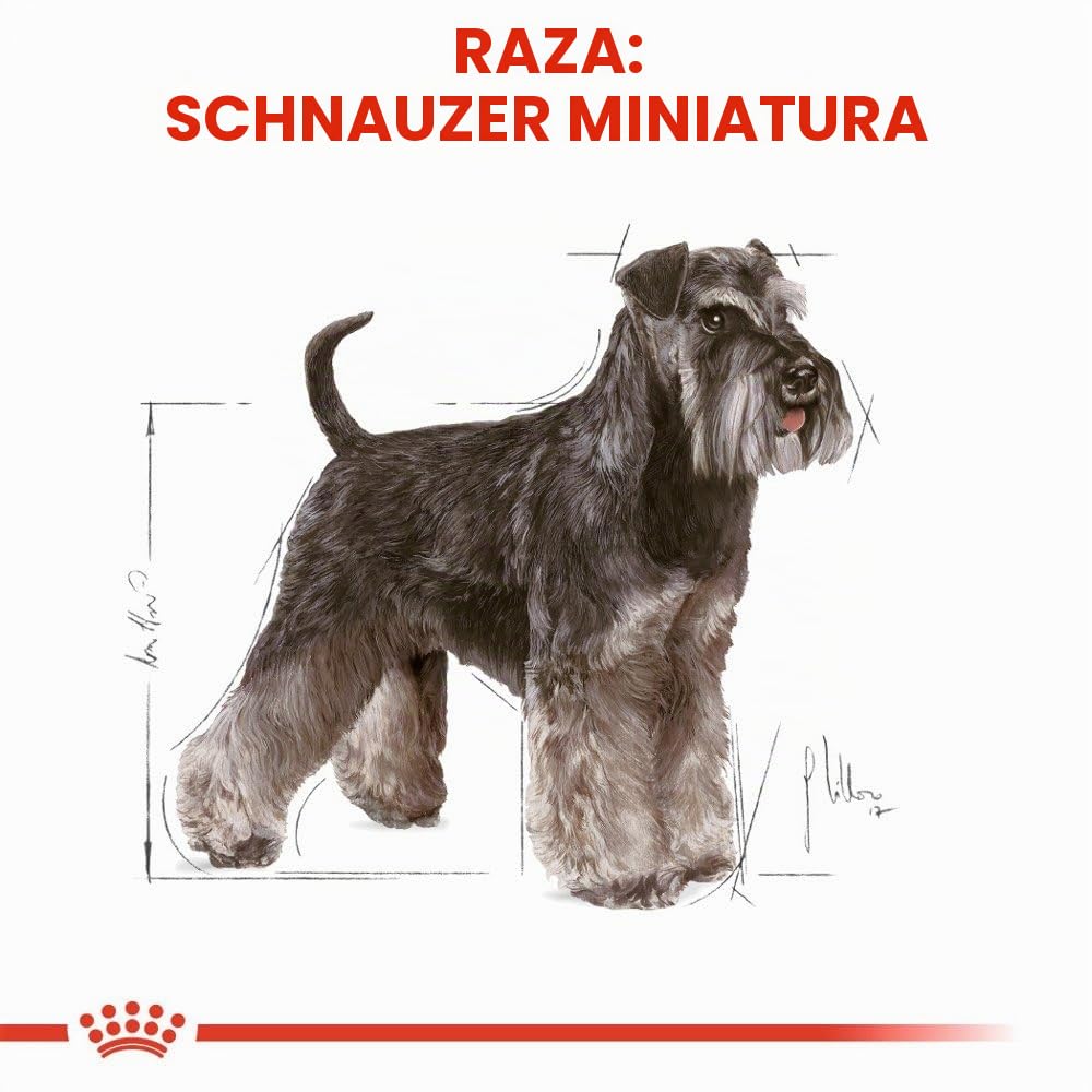 Royal Canin C-08986 S.N. Schnauzer 25 - 7.5 Kg