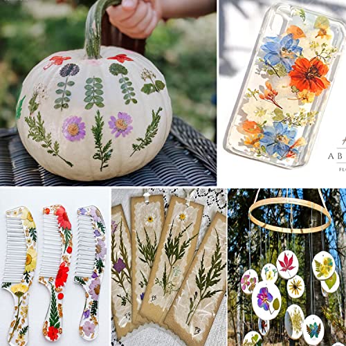 Image of 191PCS Real Nature Dried Pressed Flowers for Resin Mold, Dry Pressing Floral Set for DIY Jewelry Making Nail Card Scrapbook Art Craft Decors Blossom