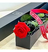 Amazon｜cafura 【一輪のバラ】プリザーブドフラワー 枯れない花 高級