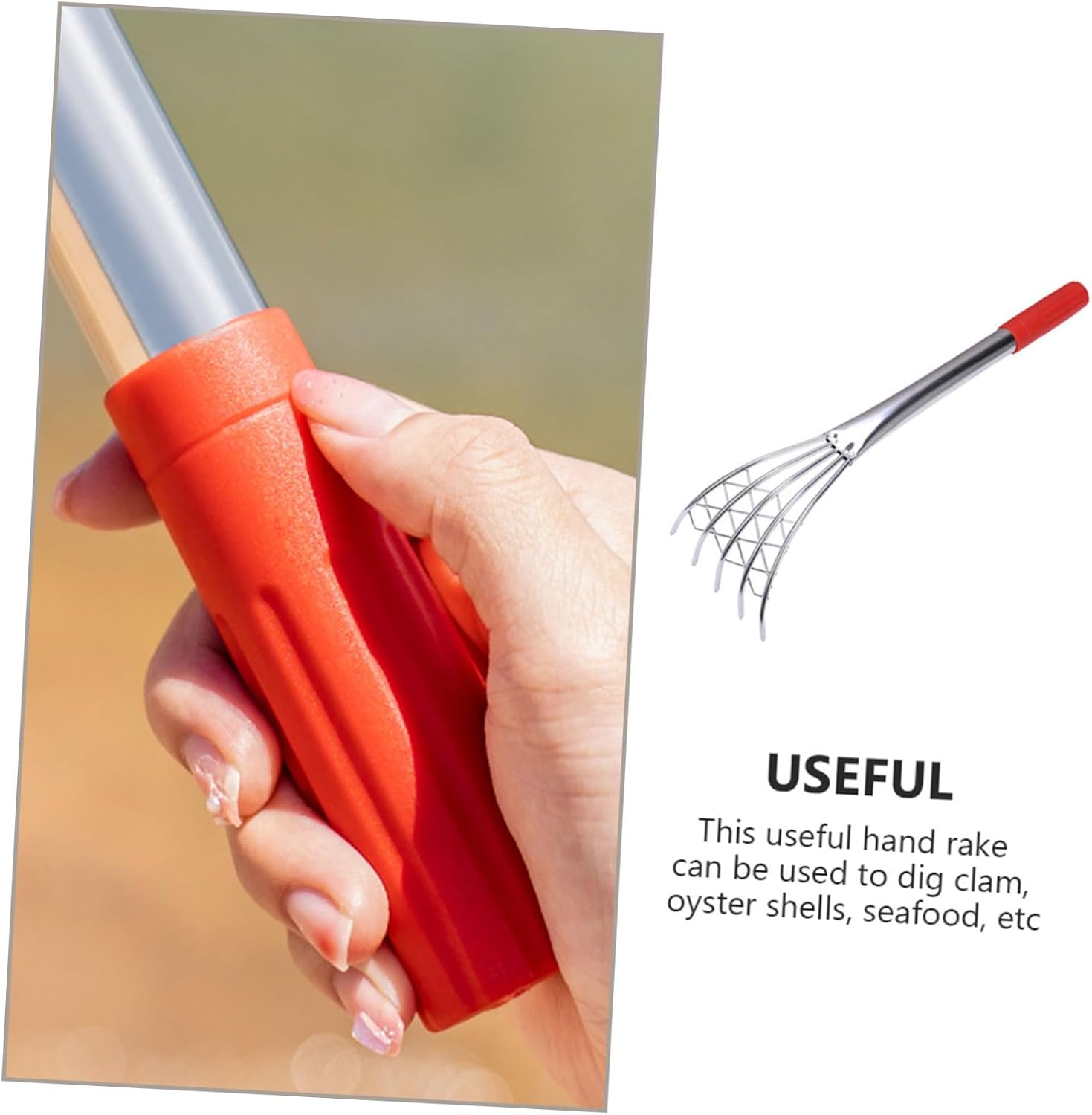 2pcs Stainless Steel Clam Rake Tool with Long Handle for Beach Shell Digging and Seafood Harvesting – 15.8x4.9in Sturdy Claw Rake for Clams, Oysters, and Shellfish Collection