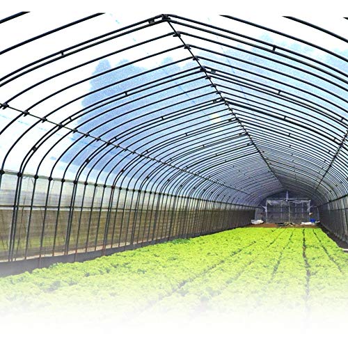 ptB ؉ tB^ 0.15mm 4m×30m 1 ۉ h |G`